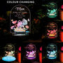 Personalised Me To You Garden LED Solar Light, thumbnail 2 of 7