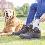 Black Labrador Dog Walking Socks The Perfect Gift For Dog Lovers, thumbnail 2 of 12