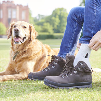 Black Labrador Dog Walking Socks The Perfect Gift For Dog Lovers, 2 of 12