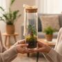 Fully Assembled Bonsai Terrarium Gift | 'Tokyo', thumbnail 7 of 9