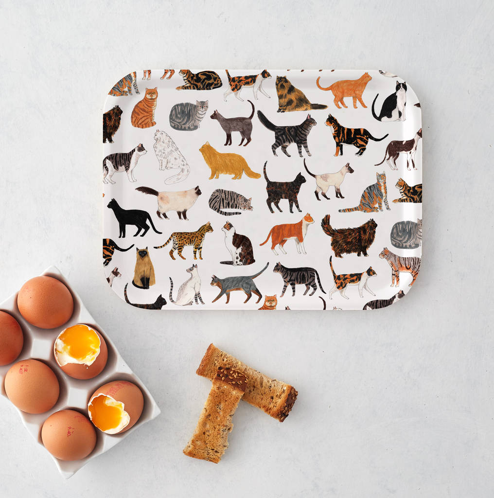 Cats Breakfast Tray By James Barker