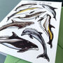 Dolphins Of Britain Greeting Card, thumbnail 4 of 12