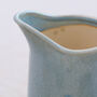 Fern Blue Botanical Ceramic Vase Gift, thumbnail 5 of 9