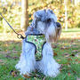Dog Harness Adjustable Tigers And Toucans, thumbnail 2 of 7