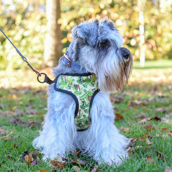 Dog Harness Adjustable Tigers And Toucans, 2 of 7