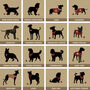 Gift For Dad 'Personalised Cat Or Dog Breed Print', thumbnail 9 of 12