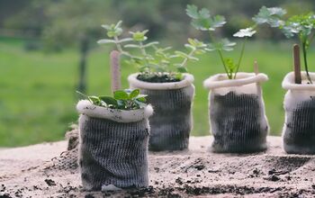 Biodegradable Wool Pots – Pack Of 10, 2 of 3