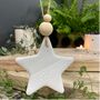 Star Decoration, thumbnail 3 of 4