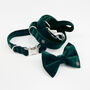 Luxury Velvet Dog Collar, thumbnail 9 of 12