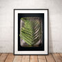 Personalised Ferns | Little Things In Tins Botanical Nursery Art, thumbnail 2 of 3
