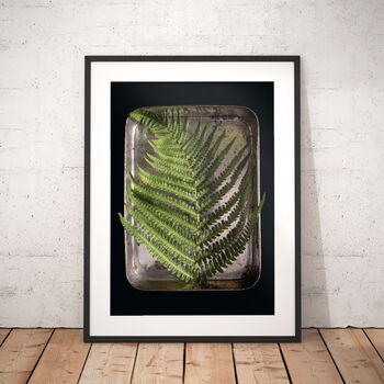Personalised Ferns | Little Things In Tins Botanical Nursery Art, 2 of 3