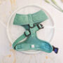 Sage Green Cord Dog Harness, thumbnail 8 of 8