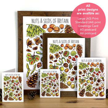 Nuts And Seeds Of Britain Art Greeting Card, 4 of 7