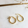 24ct Gold Vermeil Everyday 15mm Hoop Earrings, thumbnail 5 of 6