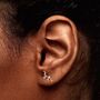 Roarsome Dinosaur Earrings In Sterling Silver, thumbnail 5 of 5
