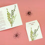 Teim Welsh Greeting Card With Thyme Seeds, thumbnail 1 of 6