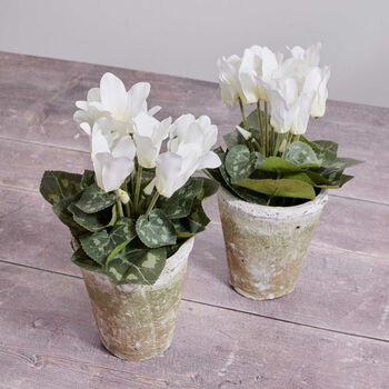 Faux White Cyclamen In White Hand Potted Plant Pot, 2 of 2