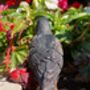 Lifelike Blackbird Garden Sculpture Gift Ornament Frost Proof, thumbnail 8 of 9