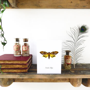 Death's Head Hawkmoth A6 Greetings Cards, 2 of 7