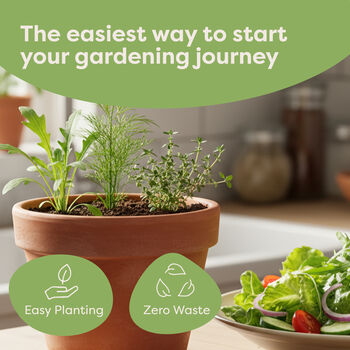 Personalised Grow Your Own Herb And Veg Kit With 25 Varieties, 8 of 11
