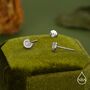 Sterling Silver Ammonite Shell Stud Earrings, thumbnail 4 of 12