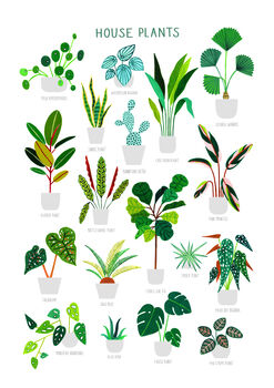 House Plant Print, 5 of 7