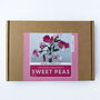Paper Flower Kit Sweet Pea, thumbnail 2 of 9