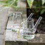 Glass Watering Can, thumbnail 1 of 5