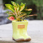 Dad's Personalised Yellow Welly Boots Planter, thumbnail 1 of 8