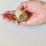 Personalised New Home Champagne Cork Key Ring, thumbnail 3 of 3