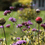 Marble Suncatcher Perfect For Adding Colour And Movement To Your Garden, thumbnail 3 of 10