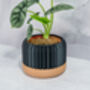 Carbon Trilinear Planter, thumbnail 4 of 4