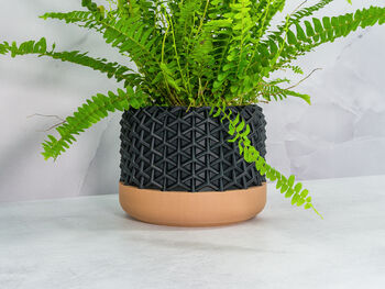 Carbon Stellar Planter, 2 of 4