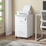 Locking File Cabinet Rolling Printer Stand, thumbnail 1 of 8