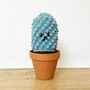 Personalised Cotton Crochet Cranky Cactus Plant, thumbnail 4 of 5