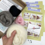 Needle Felting Kit Spring Lambs, thumbnail 4 of 11