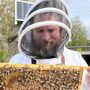 Ultimate Beekeeping, Beer And Wine Tasting Experience, thumbnail 3 of 9