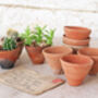 Set Of Three Micro Terracotta Plant Pots, thumbnail 1 of 3