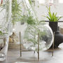 Terrarium Style Vase With Brass Stand, thumbnail 2 of 5
