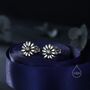 Sterling Silver Tiny Daisy Flower Stud Earrings, thumbnail 5 of 12