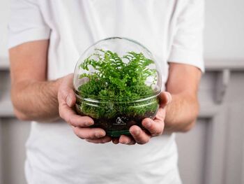 Terrarium Kit With Fern For Beginners | 'Galway', 3 of 9