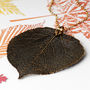 Aspen Real Leaf Necklace Large Size, thumbnail 3 of 12