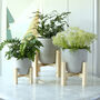Concrete Planter With Wooden Stand, thumbnail 1 of 2