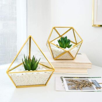 Set Of Three Terrarium Geometric Glass Vase Succulent, 4 of 4