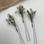 White Dried Flower Hair Pins, thumbnail 1 of 7