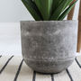 Faux Aloe Vera In Grey Pot, thumbnail 5 of 5