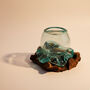 Molten Glass Decorative Bowl, Fruit Bowl And Terrarium, thumbnail 3 of 9