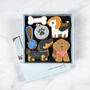 Dog Lover Iced Biscuit Box, thumbnail 1 of 2