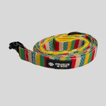 Multi Coloured Stripe Dog Collar And Lead, 4 of 8