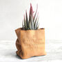 Leather Paper Bag Planter With Artificial Aloe Vera For 3rd Year Leather Wedding Anniversary, thumbnail 1 of 4